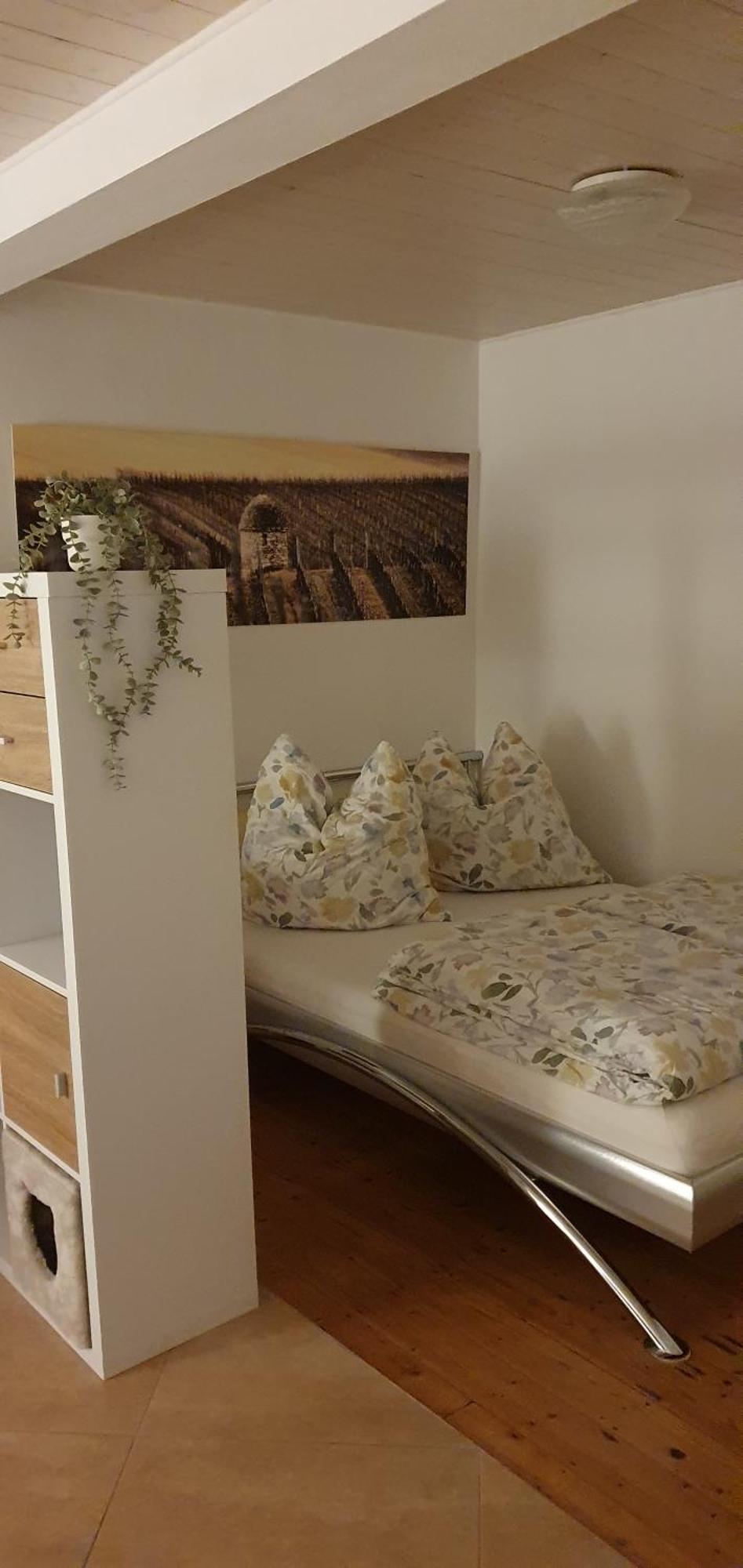 Gaestehaus Ringhof Florsheim-Dalsheim المظهر الخارجي الصورة