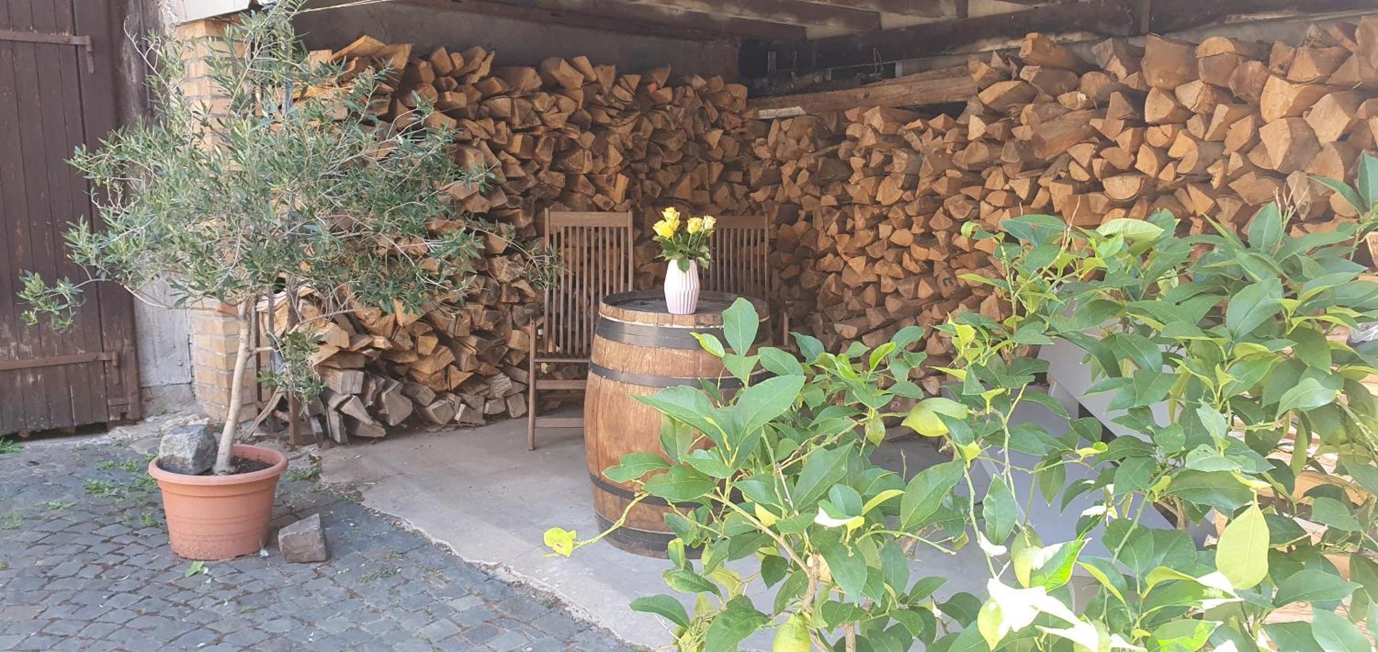 Gaestehaus Ringhof Florsheim-Dalsheim المظهر الخارجي الصورة